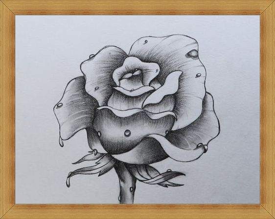 Sketsa bunga mawar