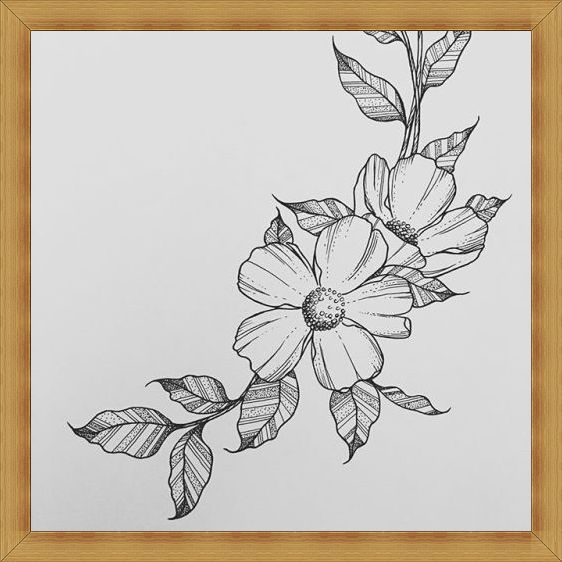 Gambar Sketsa Bunga Indah Mulai Dari Mawar Melati Anggrek Dan Lainnya Sosmedmu