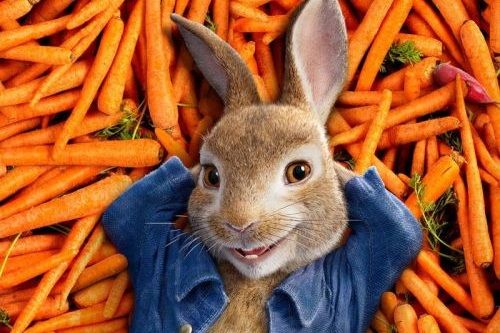 Peter Rabbit2 Peter Rabbit2