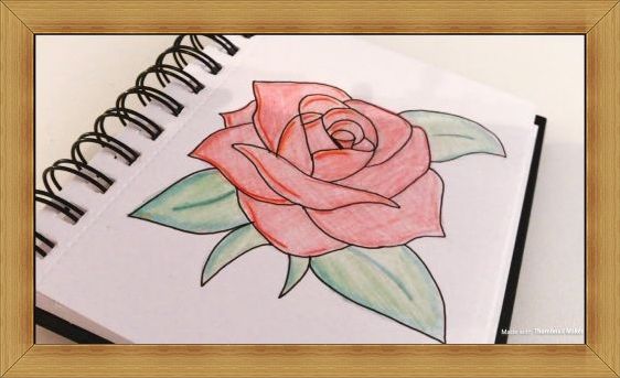 Gambar Sketsa Bunga Indah, Mulai dari Mawar, Melati, Anggrek, dan ...