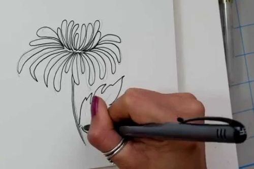 Menggambar Sketsa Bunga